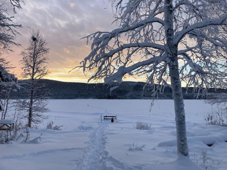 Lakeside Wilderness Cabin Jokkmokk Exterior foto