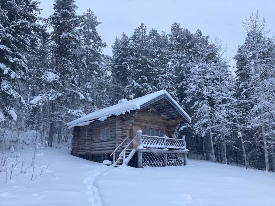 Lakeside Wilderness Cabin Jokkmokk Exterior foto