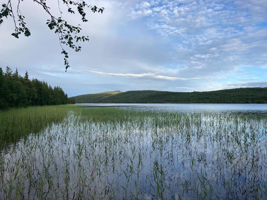 Lakeside Wilderness Cabin Jokkmokk Exterior foto